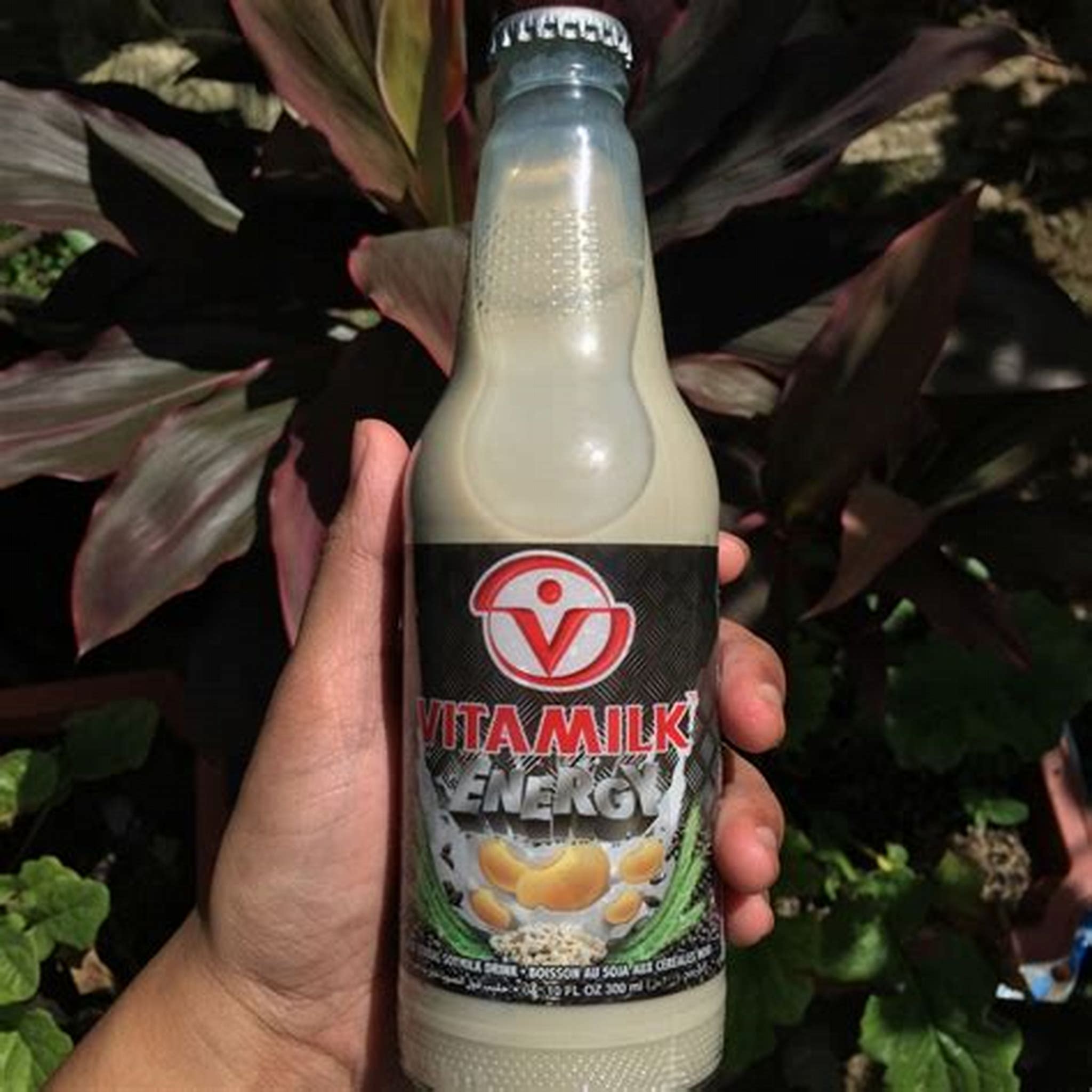 VITAMILK ENERGY
