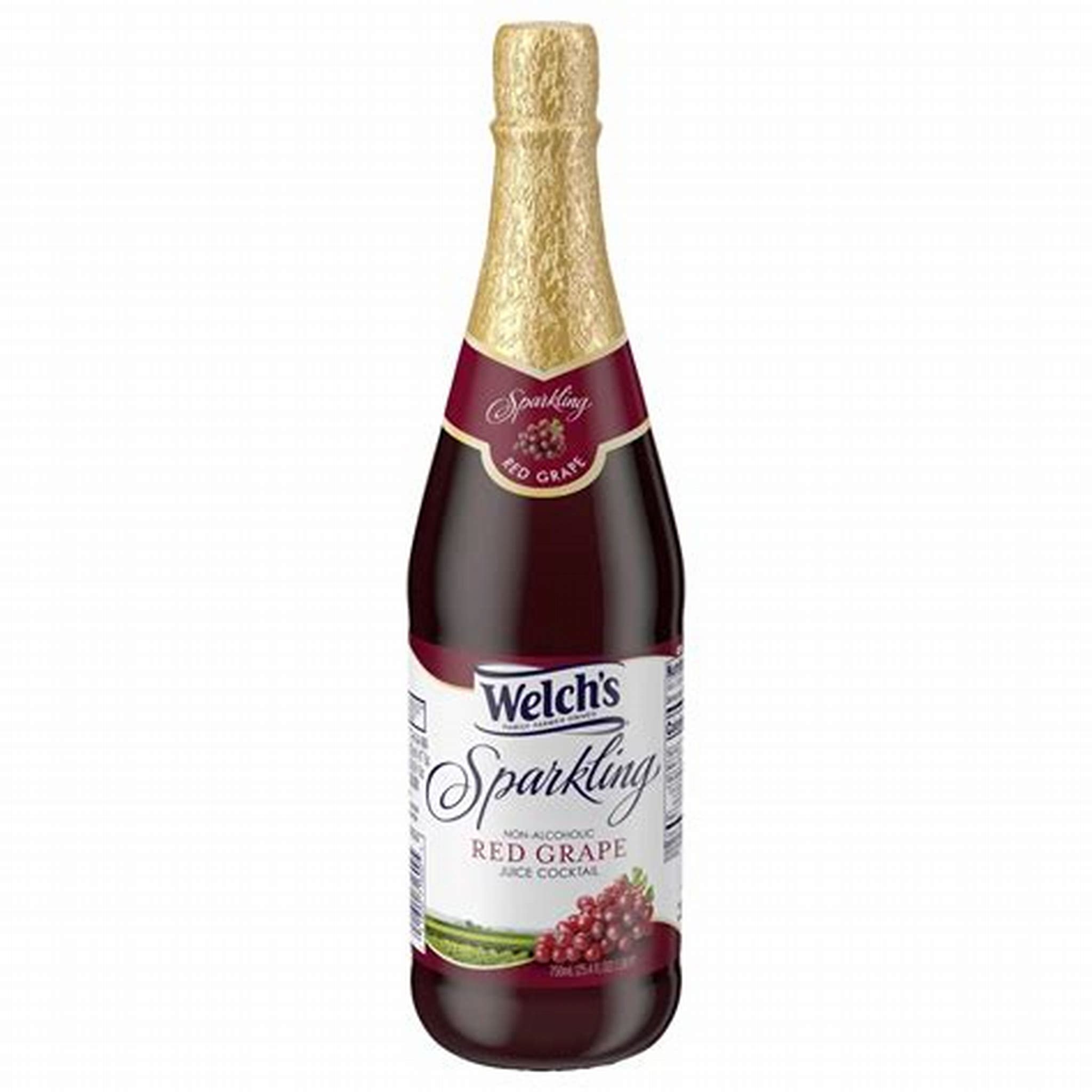 WELCH’S SPARKLING RED GRAPE 248ML