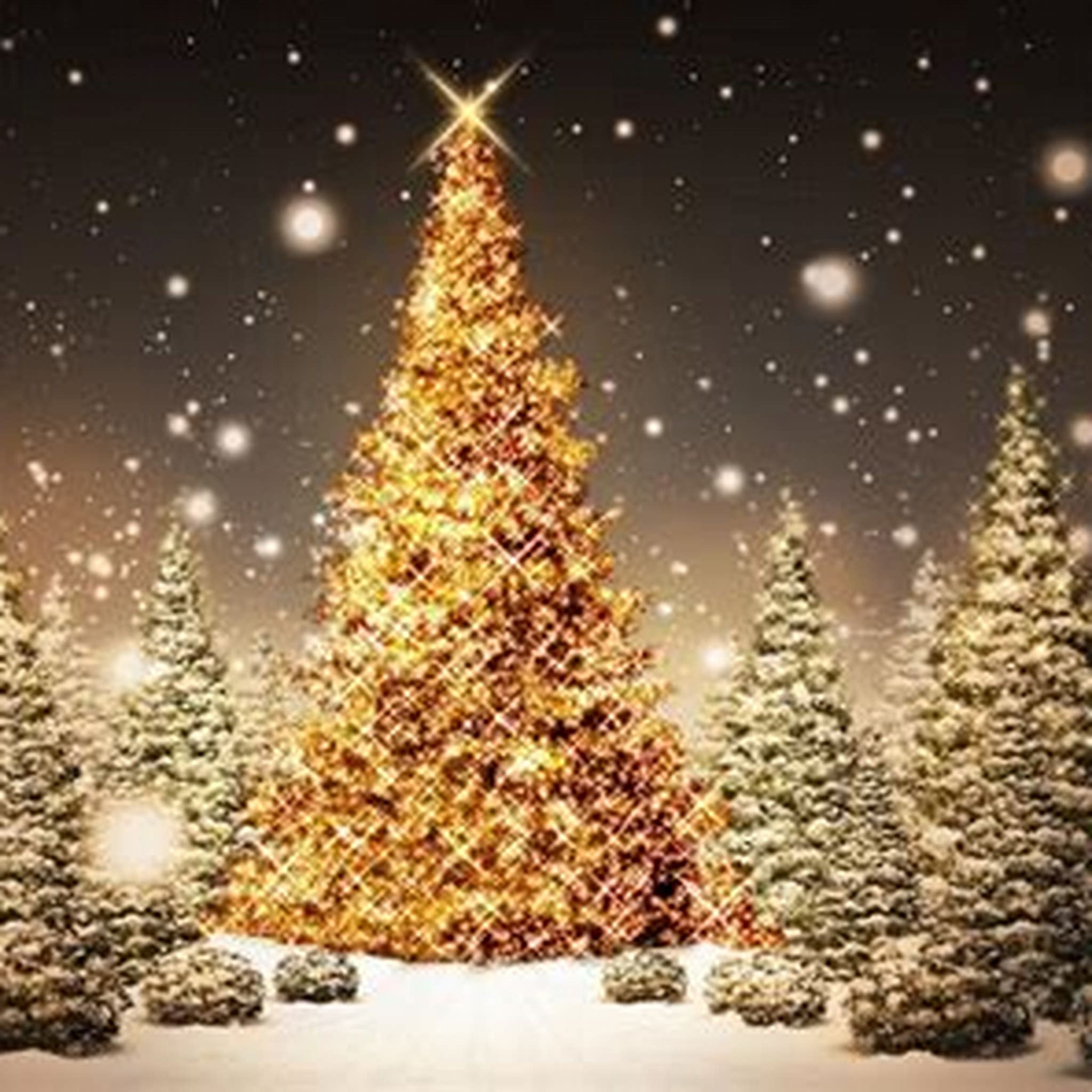 XMAS TREE
