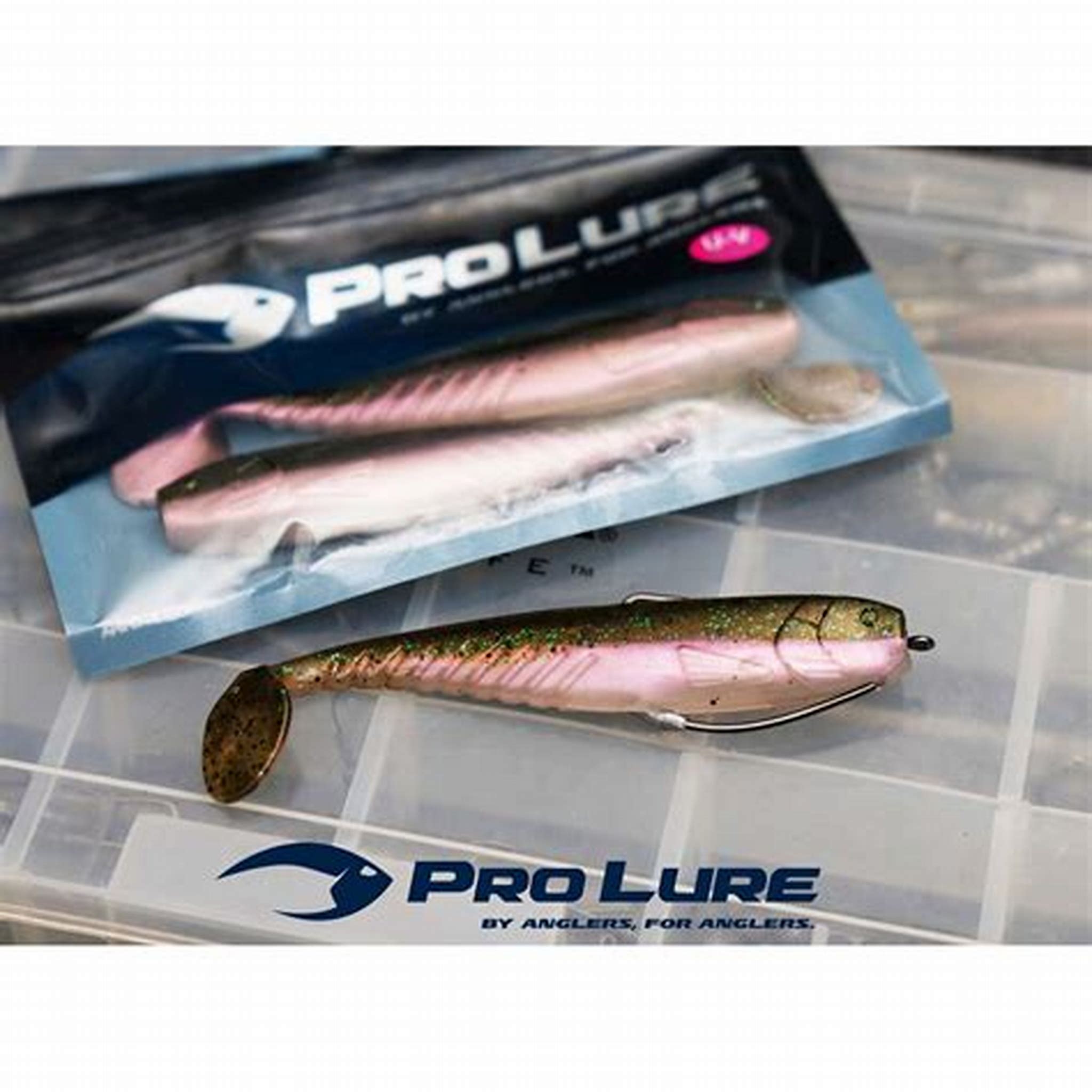 BLUE PEARL SARDINE