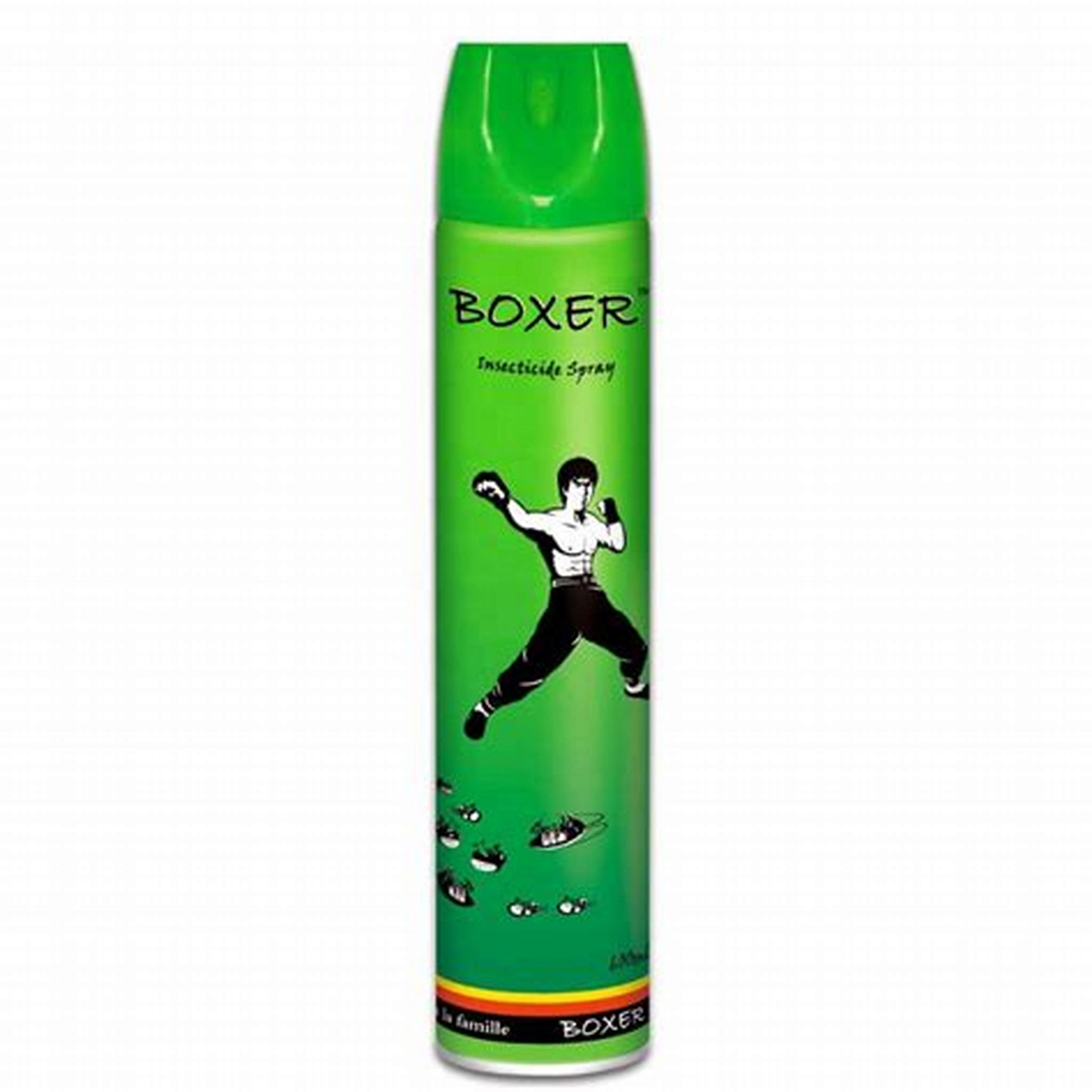 BOXER INSECTICIDE 300ML