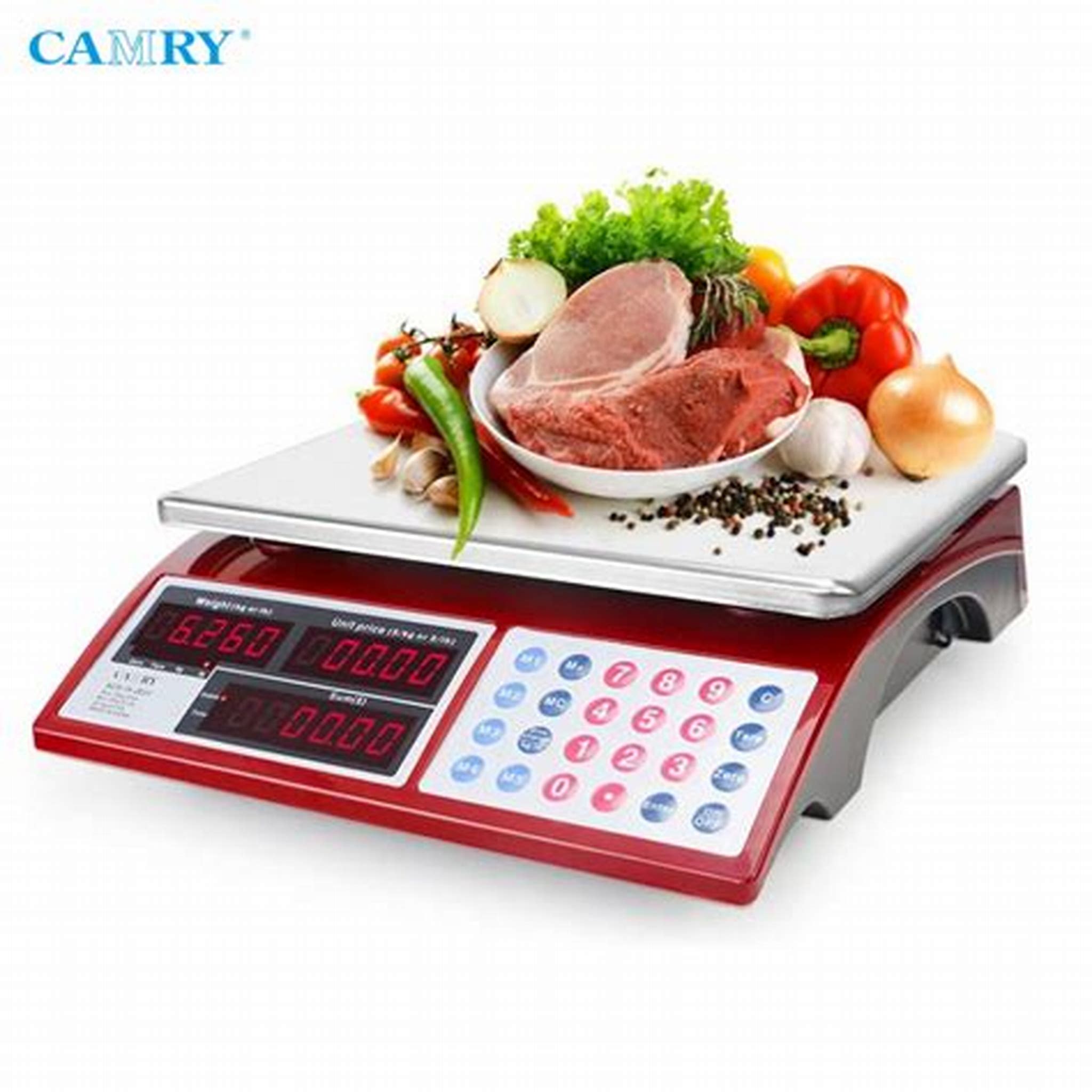 CAMRY ELECTRONIC PRICING SCALE