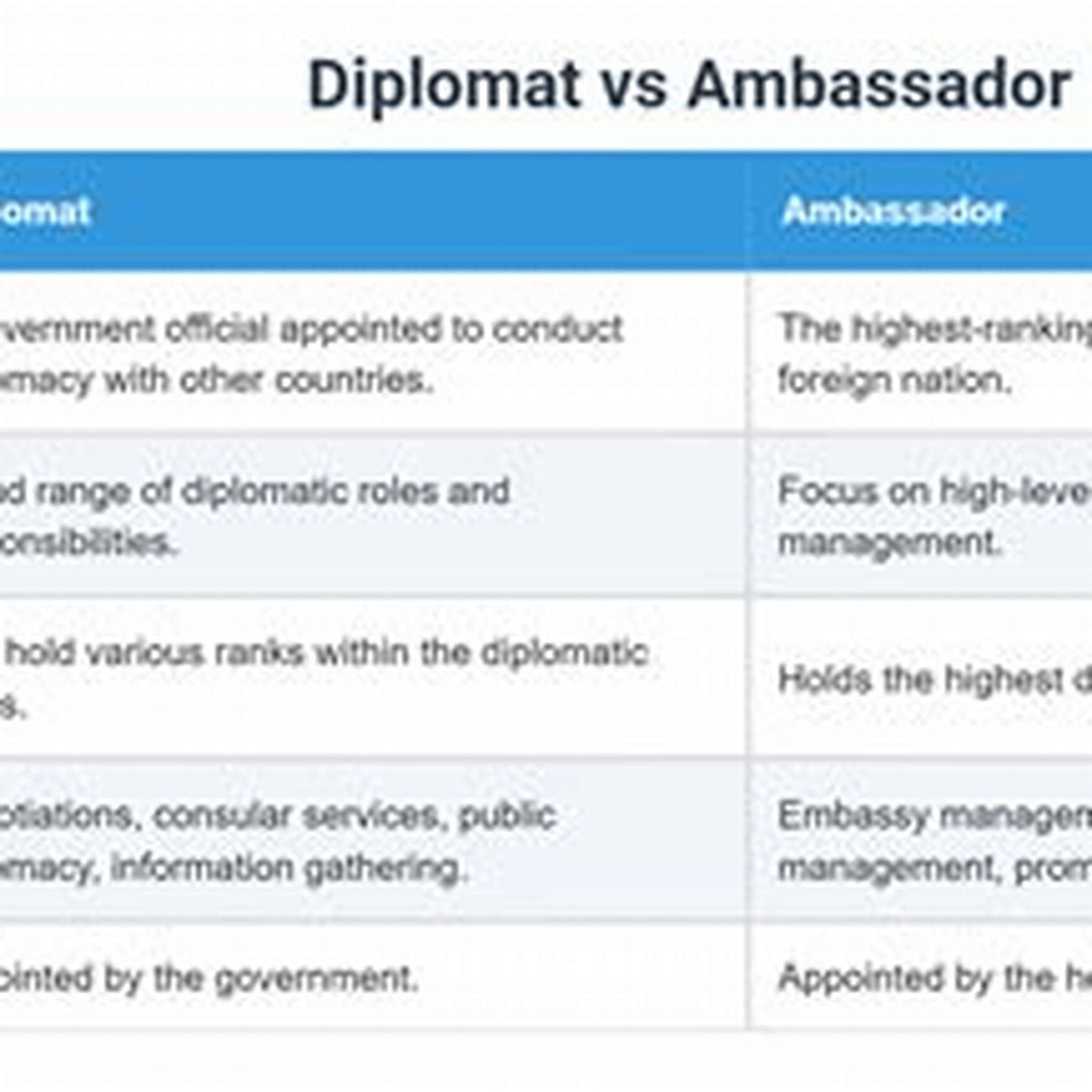 DIPLOMAT AMBASSADOR BRUSH SOFT