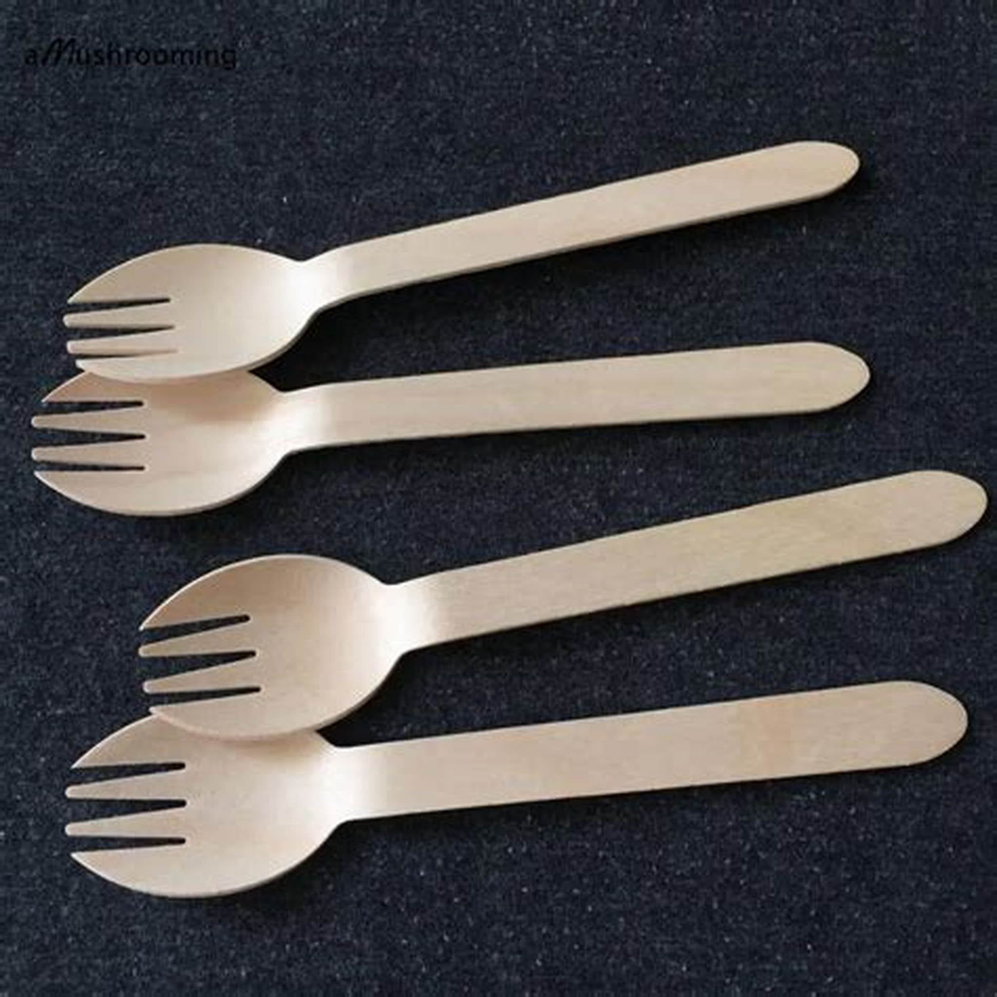 DISPOSABLE SPOON/FORK