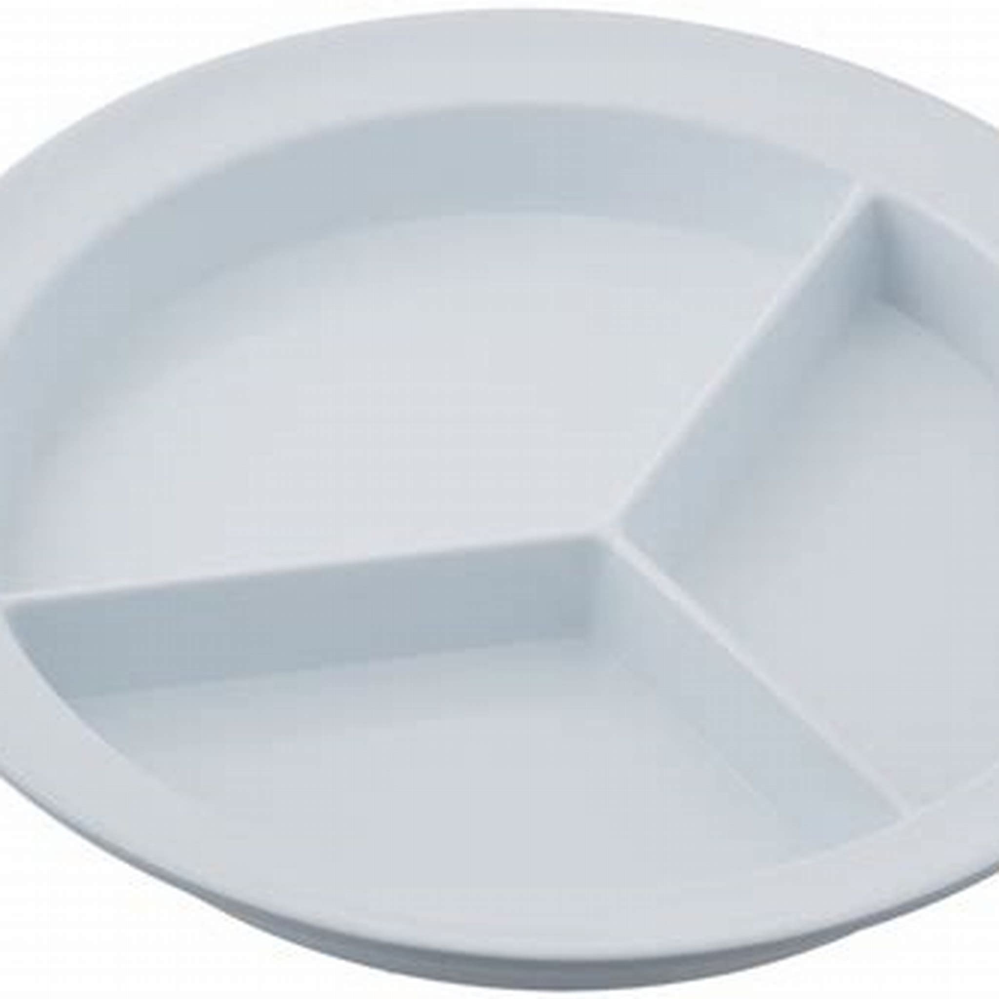 DIVIDED PLATE