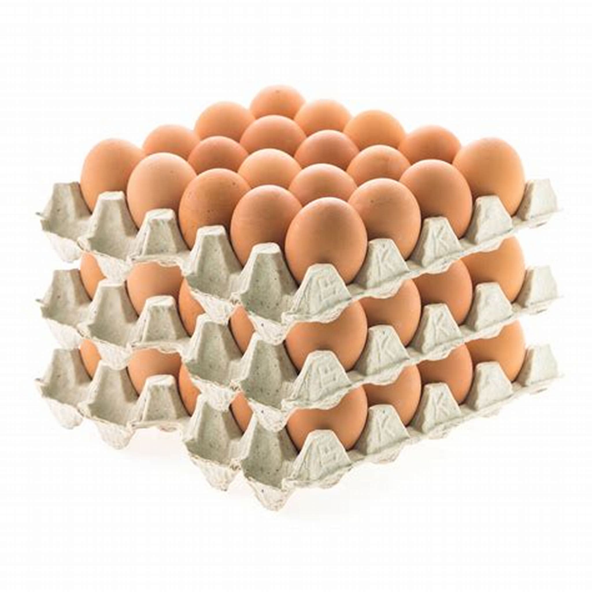 EGG CRATE