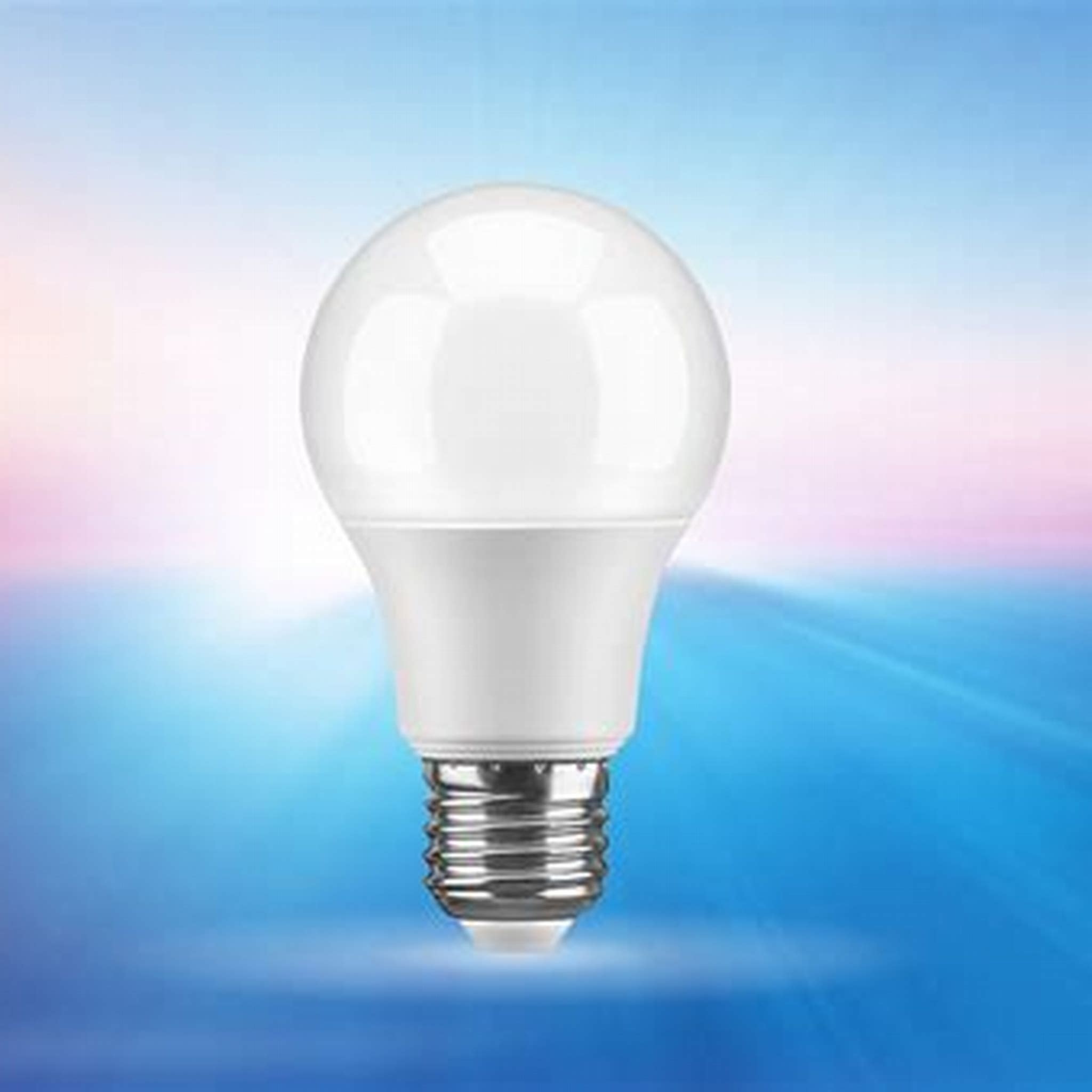 INDICATOR BULB