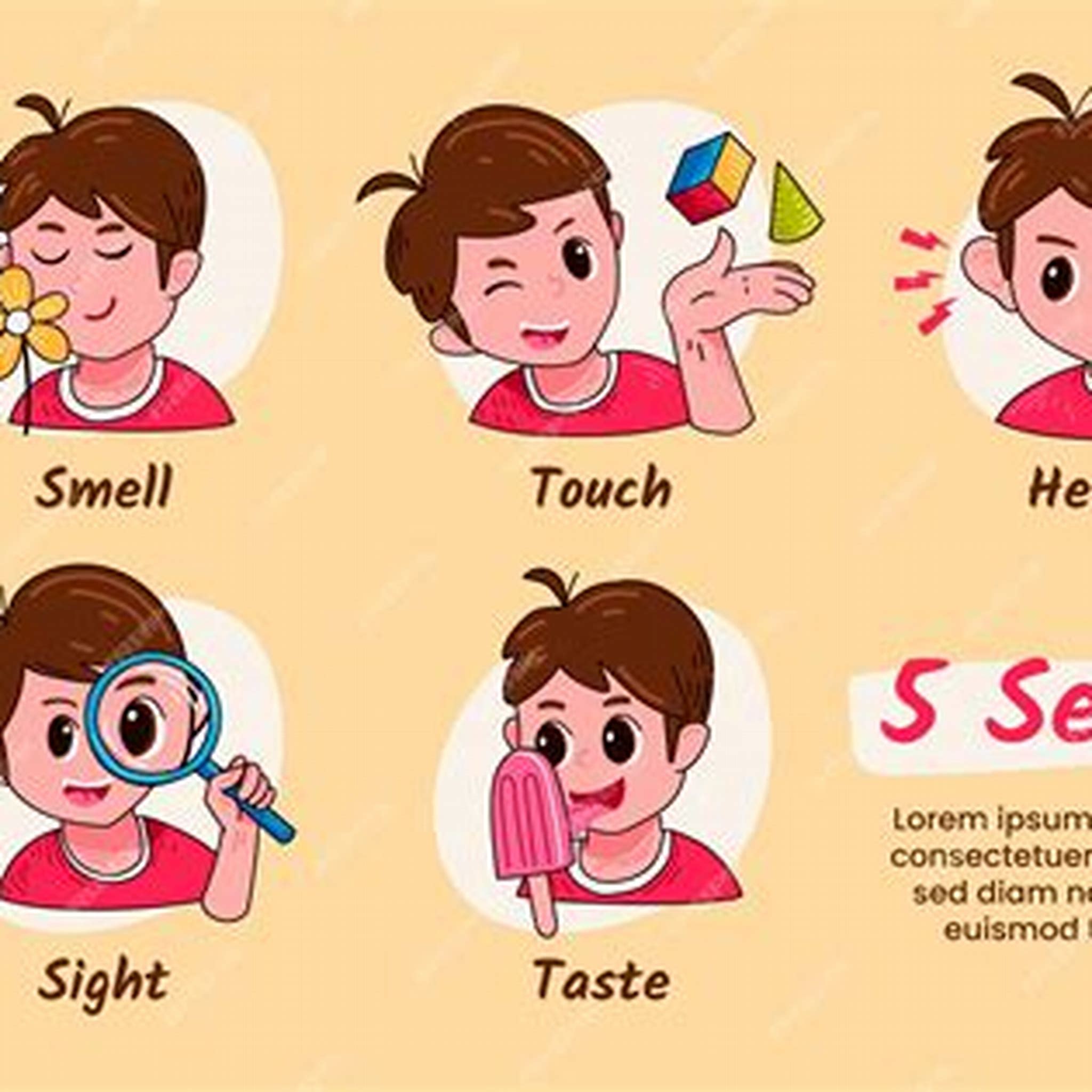 OUR FIVE SENSES