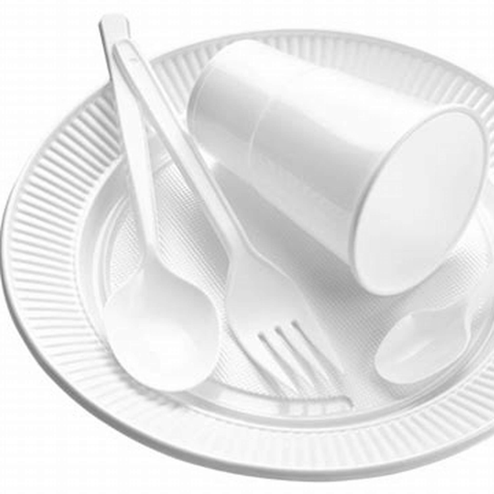 PLASTIC FORK
