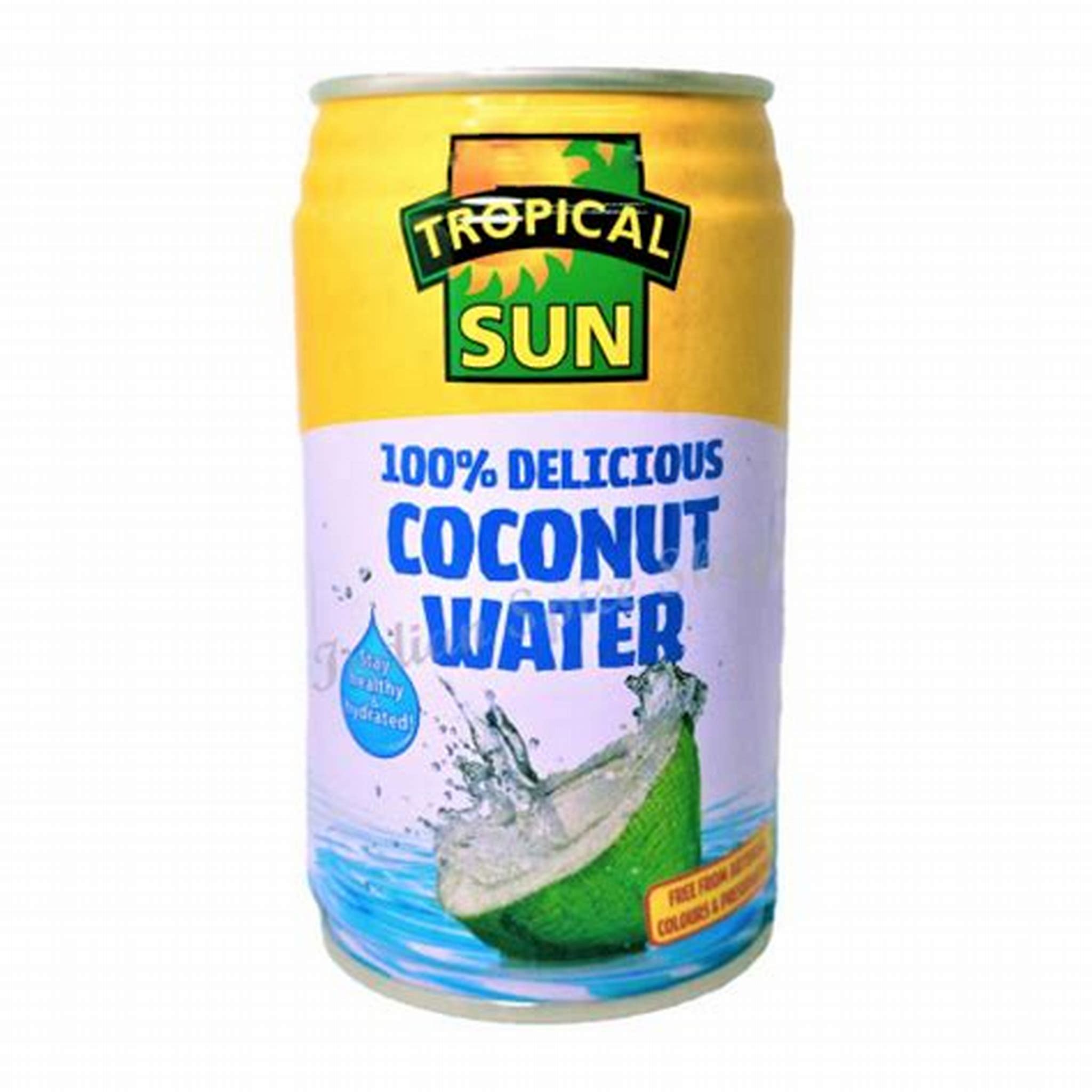 TROPICAL SUN COCONUT WATER 330ML
